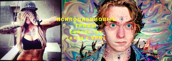 ГАЛЛЮЦИНОГЕННЫЕ ГРИБЫ Володарск