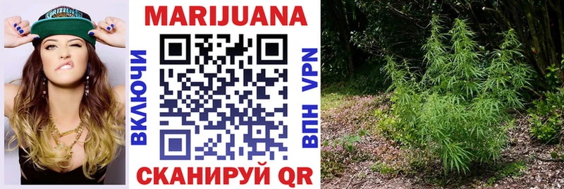 Бошки Шишки планчик Дагестанские Огни
